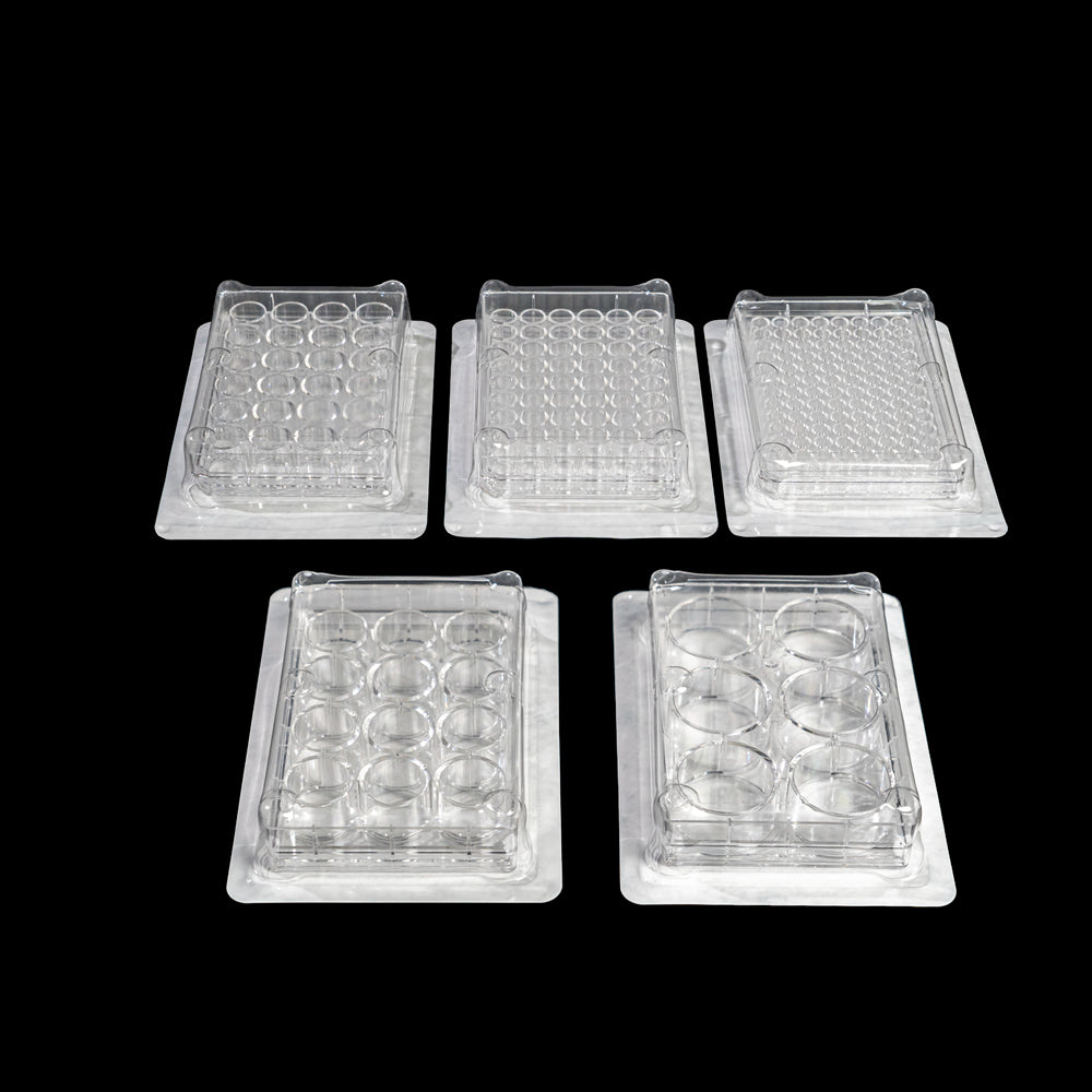 Cell culture plate, 24 wells, flat bottom, TC treated with lid, sterile,  individually packaged