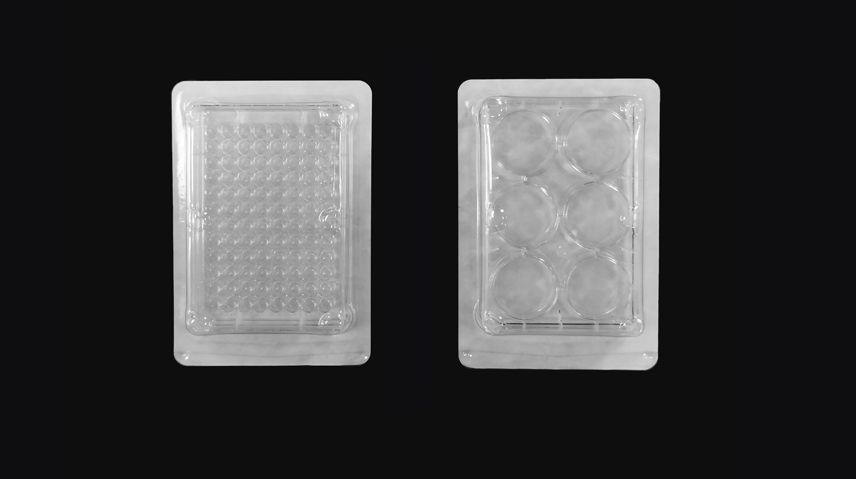 Cell culture plate, 96 wells, flat bottom, TC treated with lid, sterile,  individually packaged