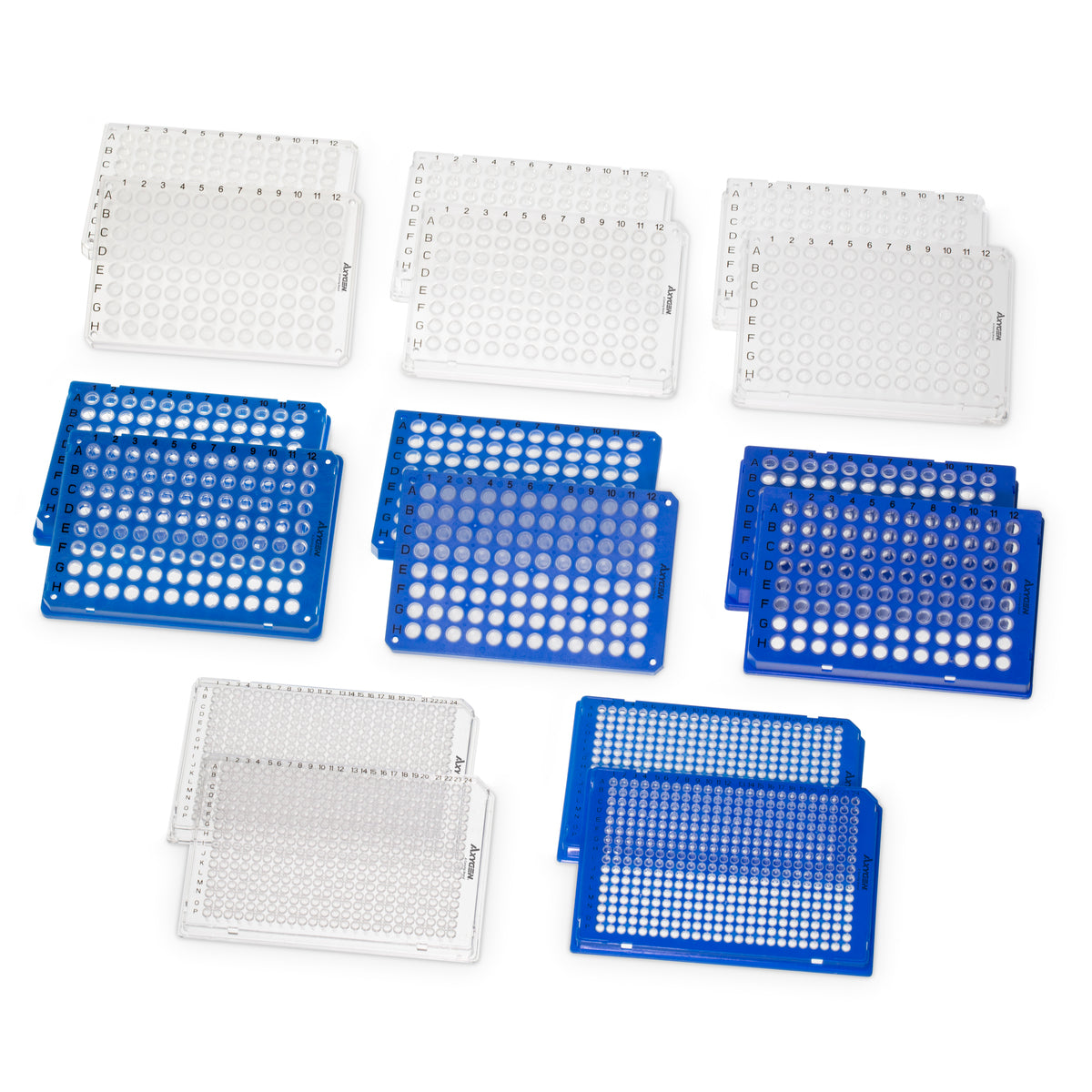 Axygen 384 well PCR Microplate, Blue PC frame, clear PP tubes, ANSI footprint, universal fit