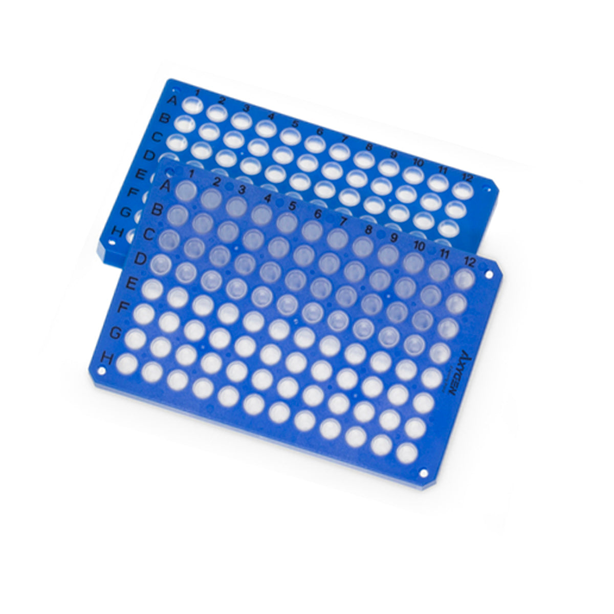 Axygen 96 well PCR Microplate, Blue PC frame, clear PP tubes, ANSI footprint, Bio-Rad compatible