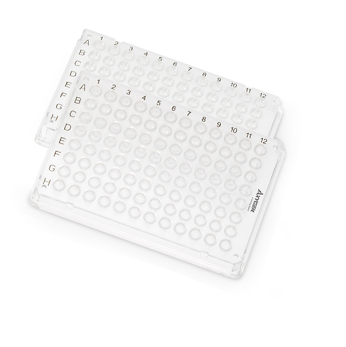 Axygen 96 well PCR Microplate, Clear PC frame, clear PP tubes, ANSI footprint, Bio-Rad compatible