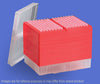 Axygen Tips, LTS, Rainin compatible, Tip Station 20µl, Sterile