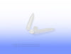 Tube centrifuge 10mL PP attached cap