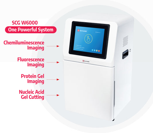 Chemiluminescence Imaging System, inc Flourescence and Gel Imaging Functions