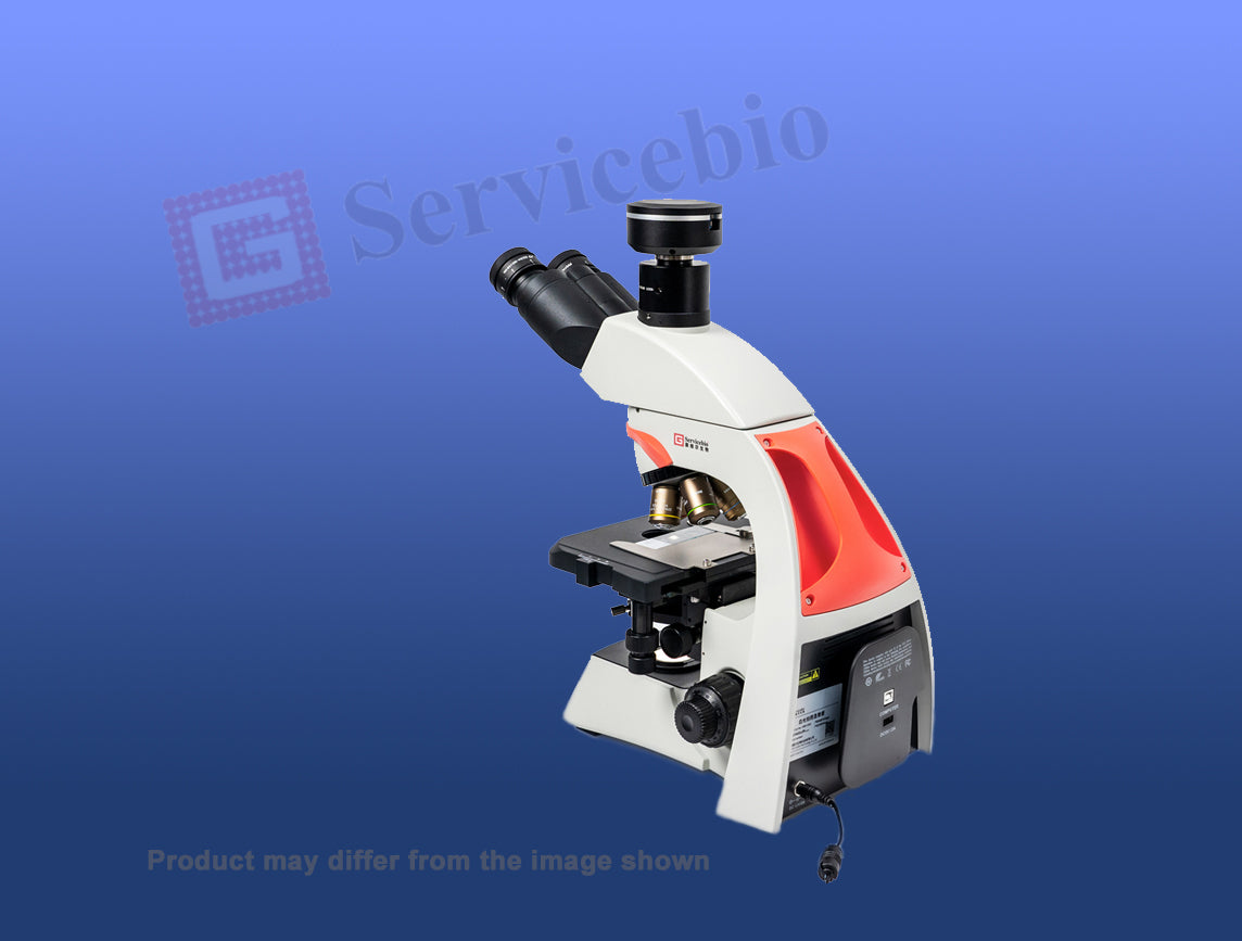 Microscope Brightfield