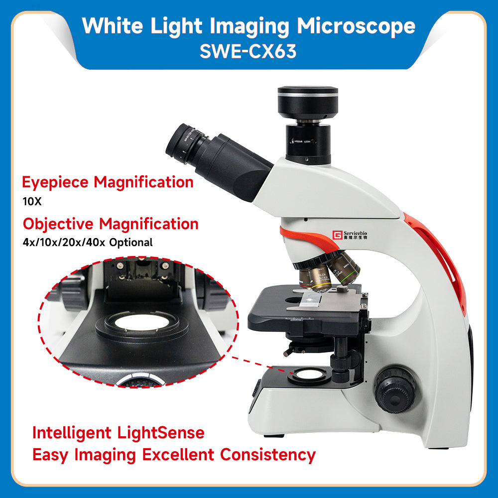 Microscope Brightfield