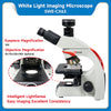 Microscope Brightfield