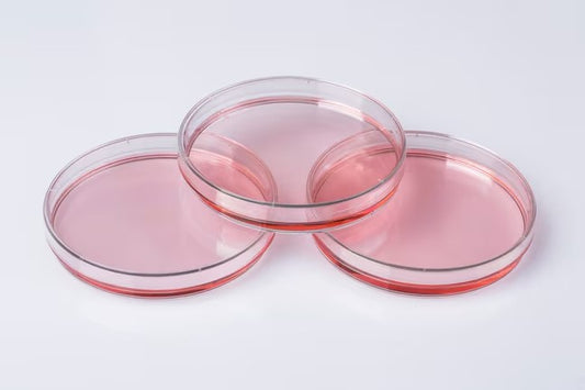 Dish petri PS 90x15mm manual sterile