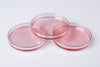 Dish petri 90x15mm PS manual vented