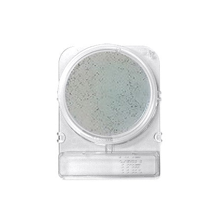 Compact Dry YM RAPID Yeast and Mould
