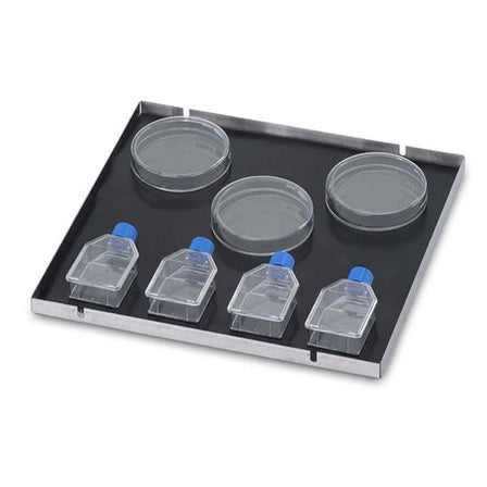 Platform Culture with Mat, 46 X 61 cm