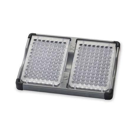Holder Double Microplate