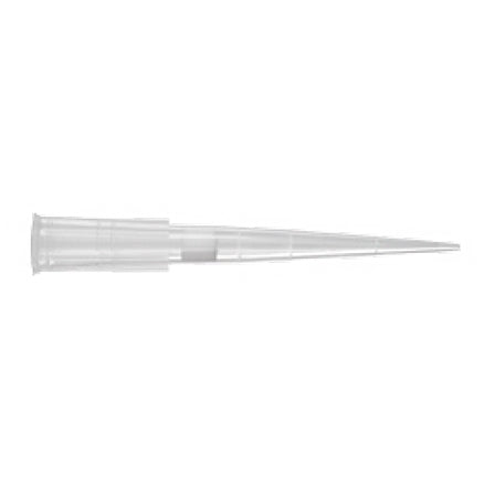Axygen Tips, Filter, Pipette, 100µl Universal Fit