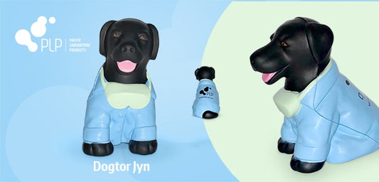 Dogtor Jyn Squeezy Lab Dog